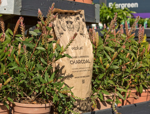 Ecofuel alder lumpwood charcoal sitting on the shelf in outdoor garden area at one of B&Q stores