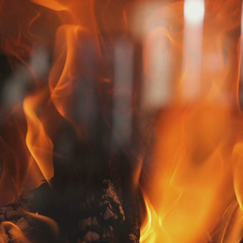 ECOFUEL™ Oak Firewood Logs Close Up Wood-burning stove